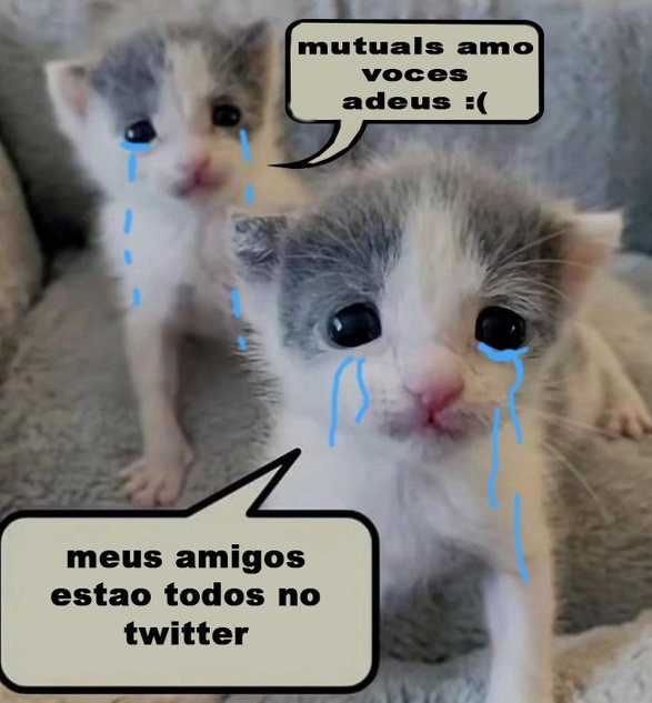 Aí tomara que esse drama todo seja pra nada, todavia, tchau meus amores