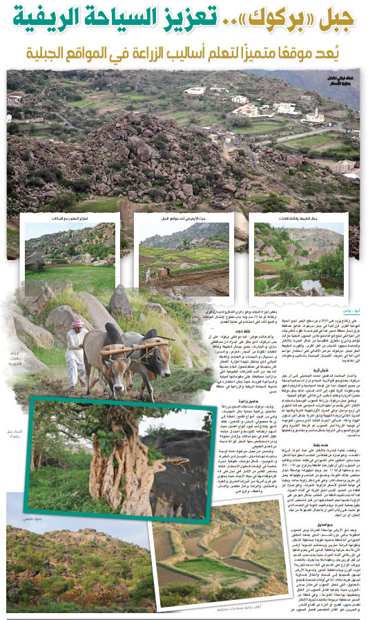 جبل «بركوك».. تعزيز السياحة الريفية

alriyadh.com/2092064
#جريدة_الرياض