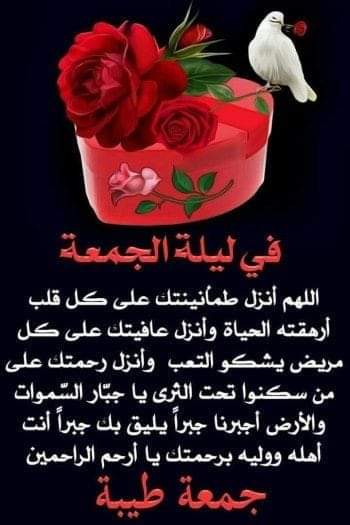 ابوعلي الحكمي (@abwly48410) on Twitter photo 