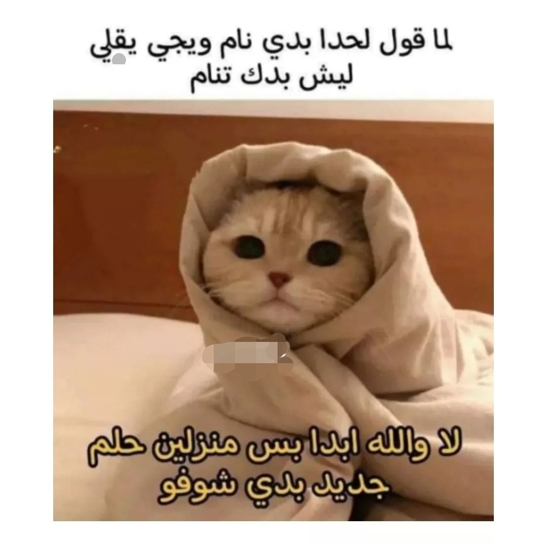 KhaledAhmedw's tweet photo. @AboFlah_1 حقيقي https://t.co/U2orScieCw