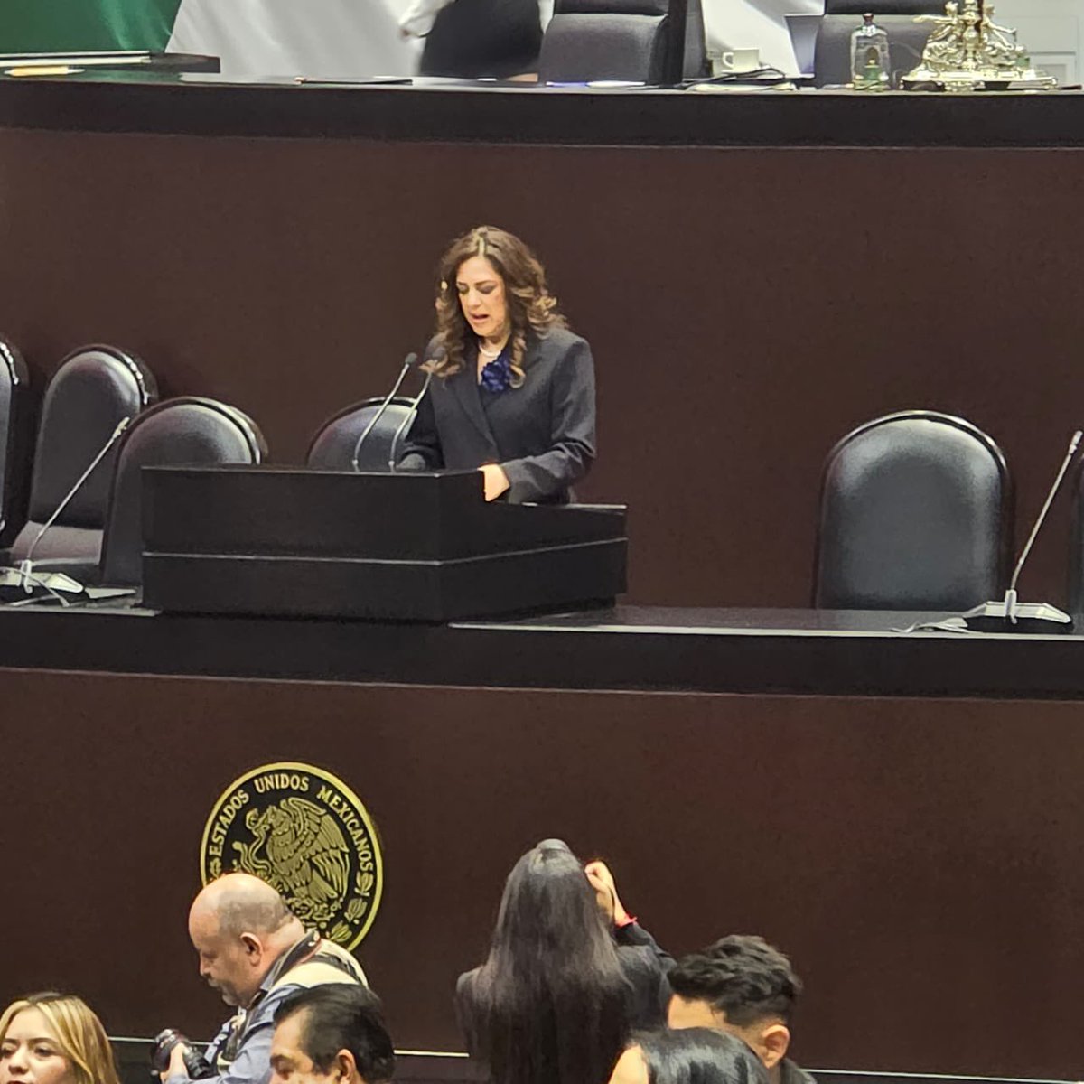 GracielaBaez's tweet photo. Fue un privilegio subir a la máxima tribuna del país a informar sobre la conformación de la LXVI Legislatura, hoy que tomaron protesta las y los diputados. Confío en que continuarán fortaleciendo al Poder Legislativo de México! https://t.co/1Rku6icNmm