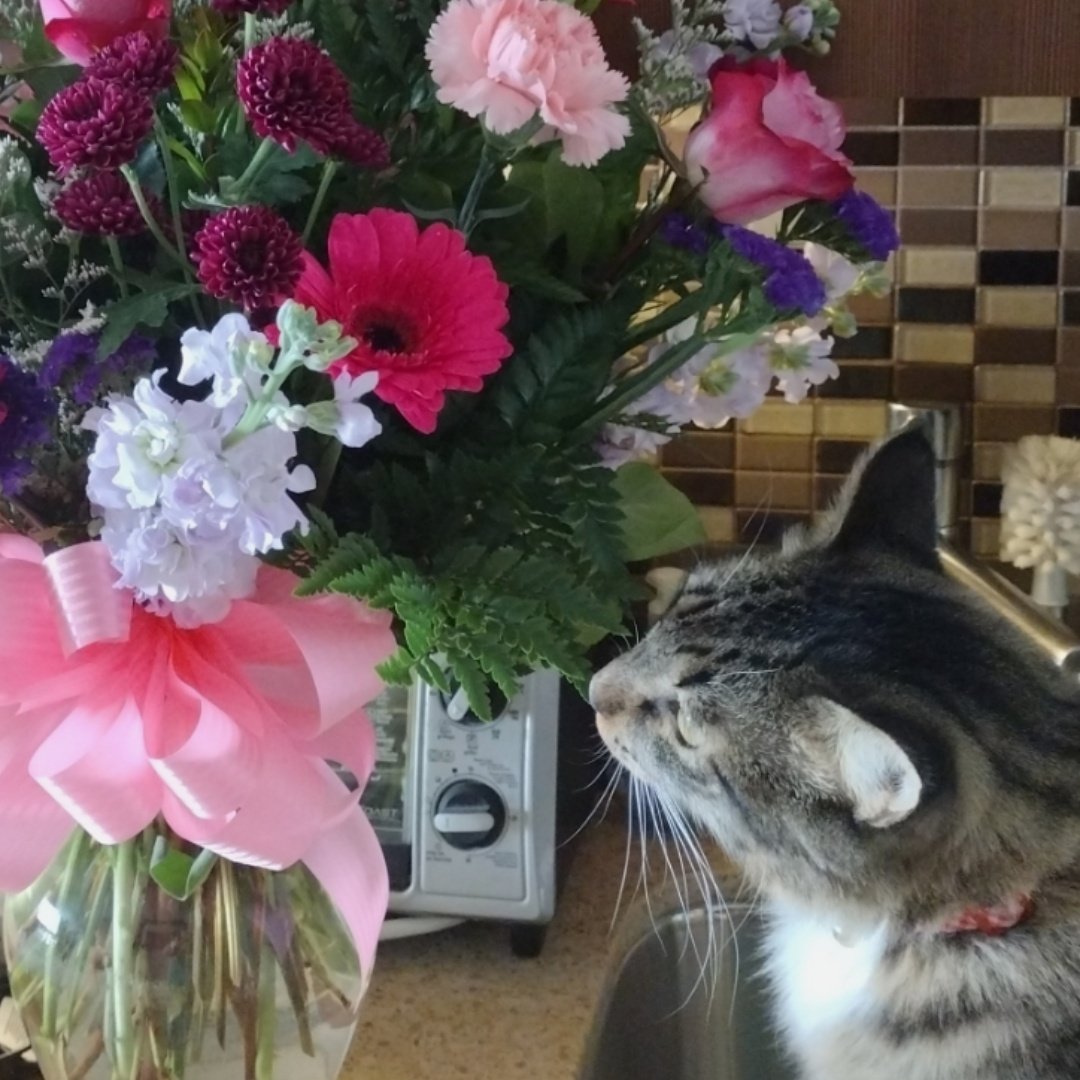 Debra R. Lloyd-Wilkinson tweet media