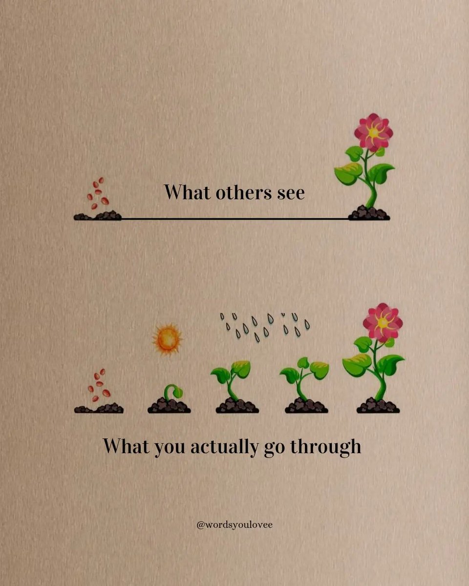 Mind Essentials (@mind_essentials) on Twitter photo 