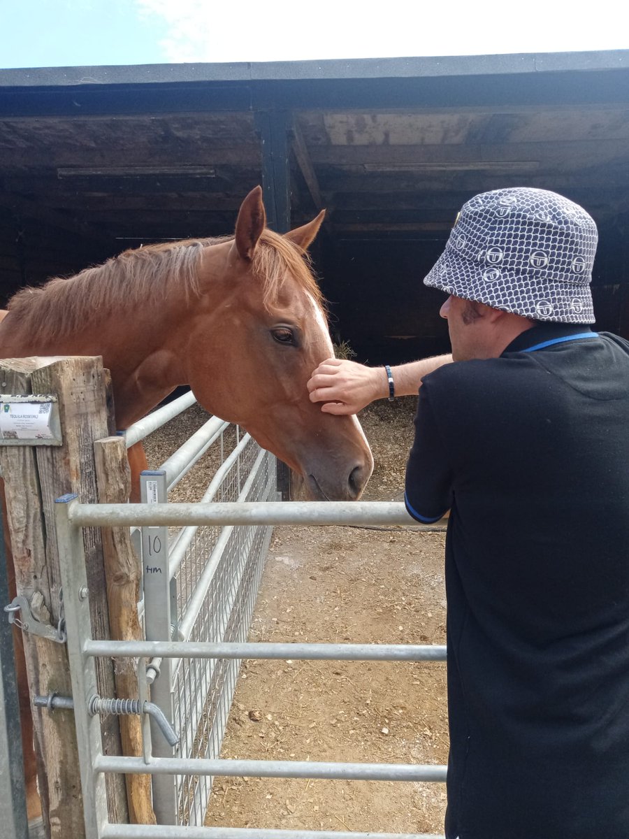dabranter's tweet photo. Big thank you to @almracing for allowing Libby to give us a tour of the yard yesterday. 
Getting as close to them as I could was an amazing experience. One of couple of photos taken just ashame we didn't get any with Everyoneknowsadave as there would of been some good ones. 👏👏 https://t.co/kfjIqwi8d8