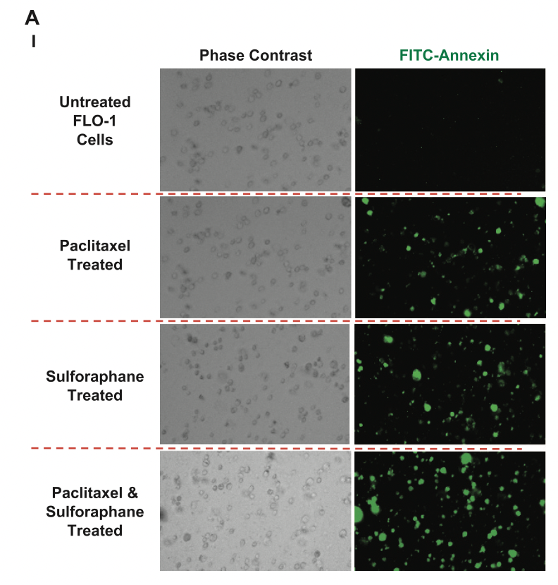 Elisabeth Bik tweet media