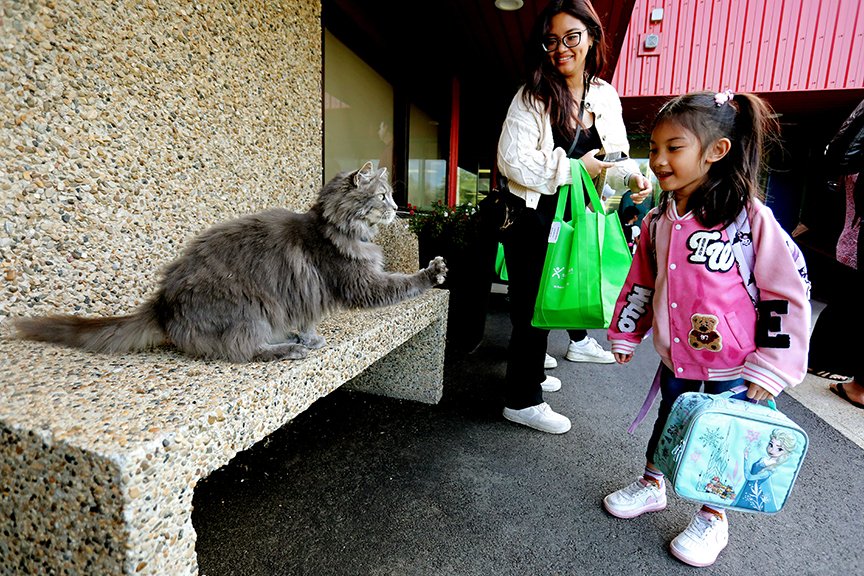 David Bloom tweet media