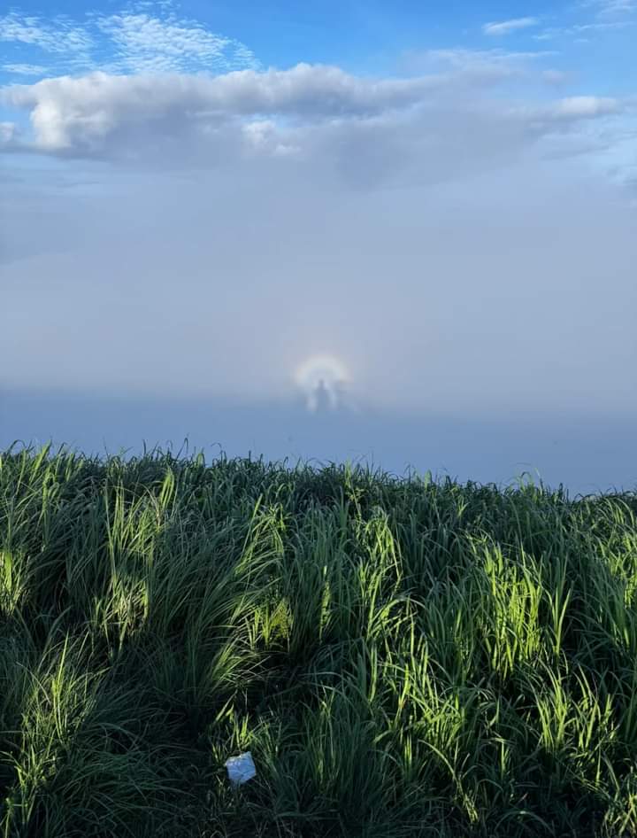 My Name's #KINHO #Ki tweet media