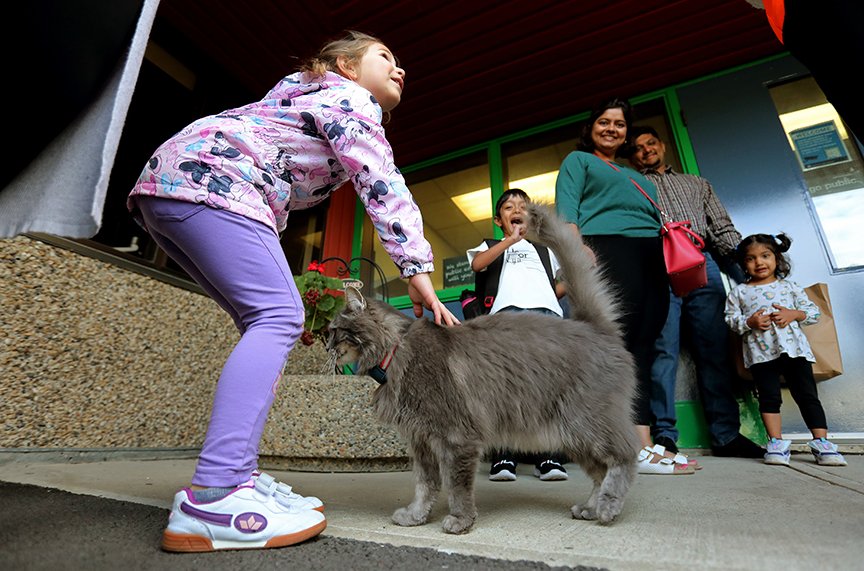 David Bloom tweet media