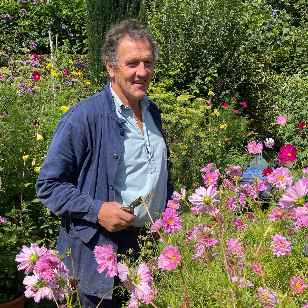 Monty's Cosmos have been absolutely brilliant this year. How have yours been? Let's compare notes this Friday at 9pm on <a href="/BBCTwo/">BBC Two</a> 😎 #GardenersWorld #FlowersOnFriday