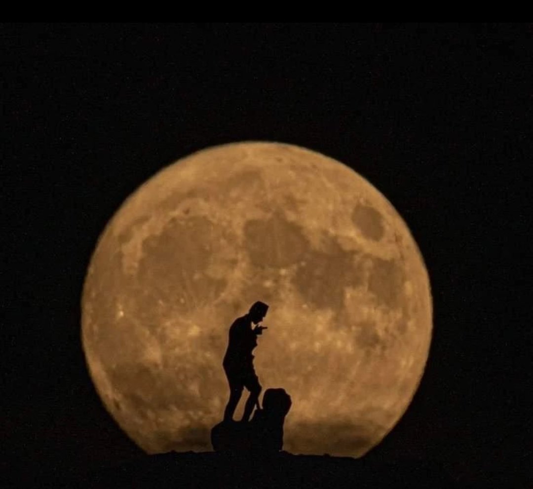 Zafer, Zafer benimdir diyebilenindir. Başarı ise başaracağım diye başlayarak sonunda başardım diyenindir."

Gazi Mustafa Kemal Atatürk
30 Ağustos Zafer Bayramı kutlu olsun