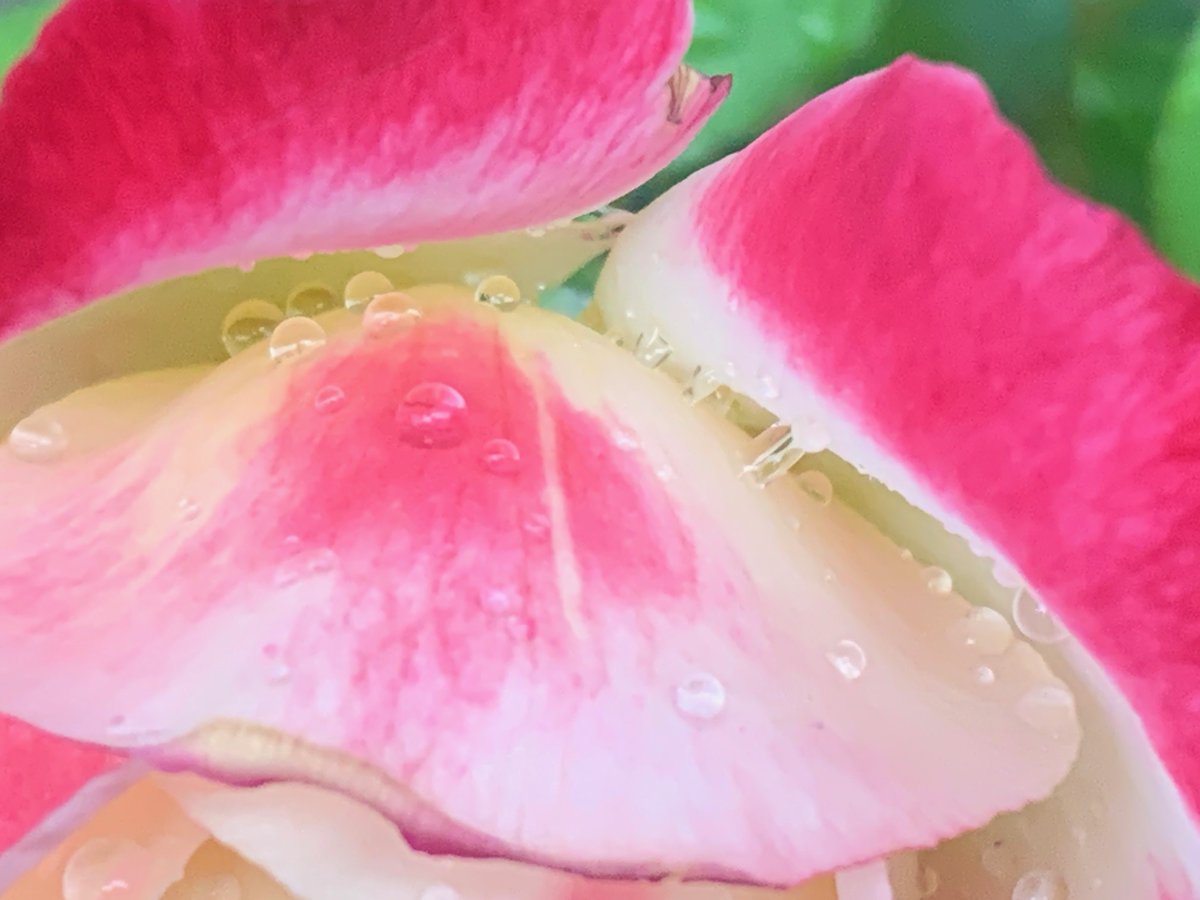 Lance Anderson tweet media