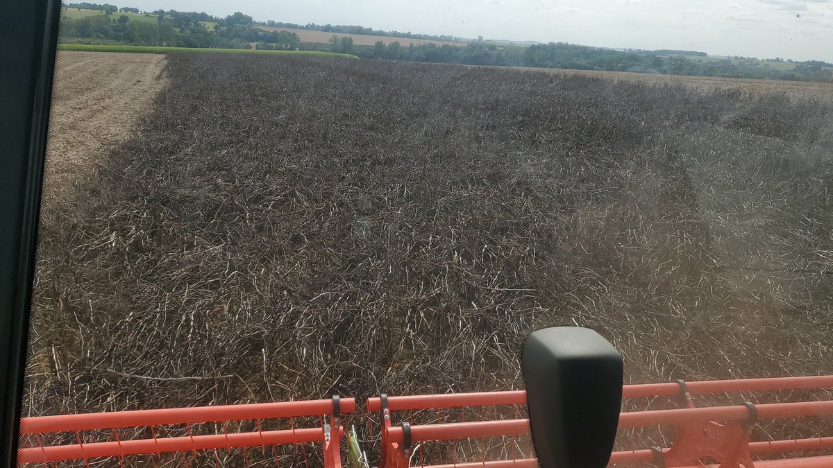 Hervé Kevin tweet media