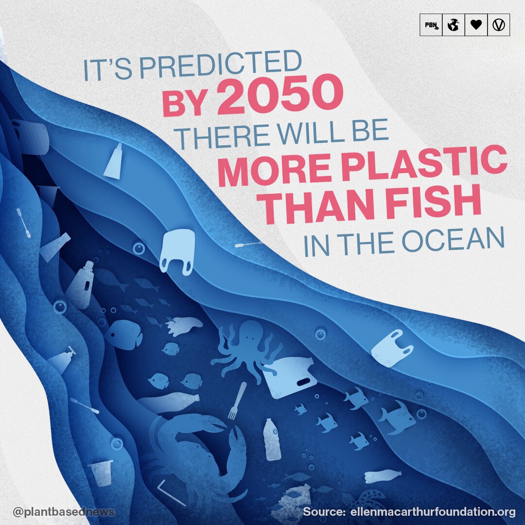 PlantBasedNews's tweet photo. Without significant action, there may be more plastic than fish in the ocean, by weight, by 2050 Let's all make responsible and earth friendly choices. Reduce, reuse and recycle ♻️🌍 

Source : https://t.co/cowSDAY9YI https://t.co/RVdTviQeyX