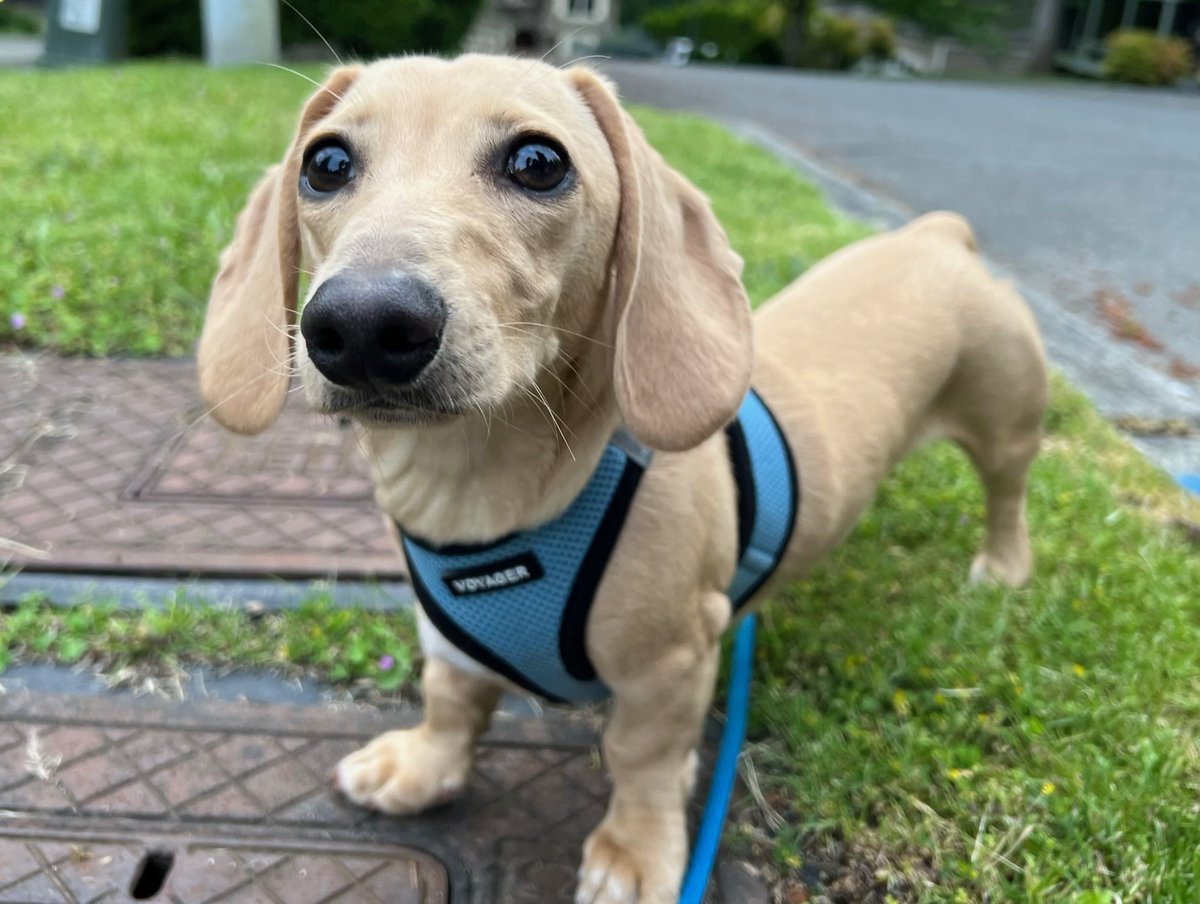 GiganticBucket tweet media