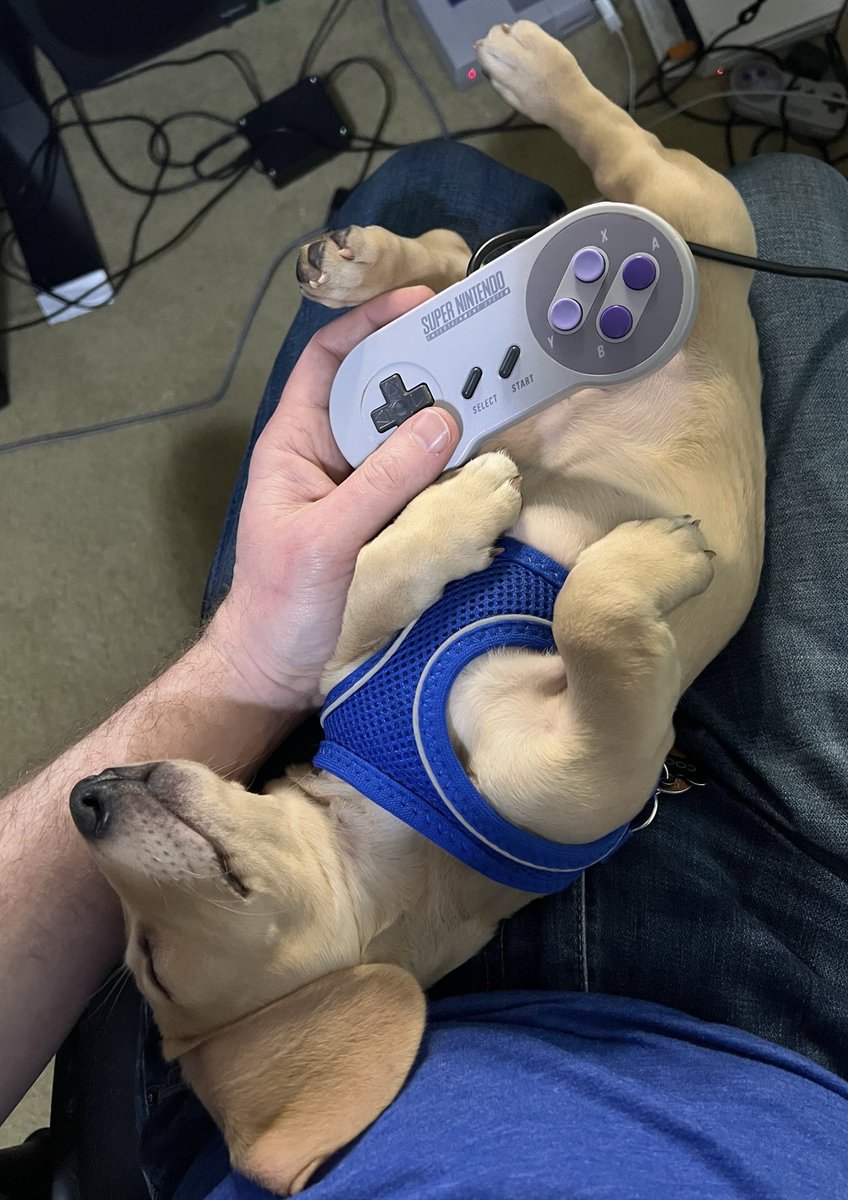 GiganticBucket tweet media