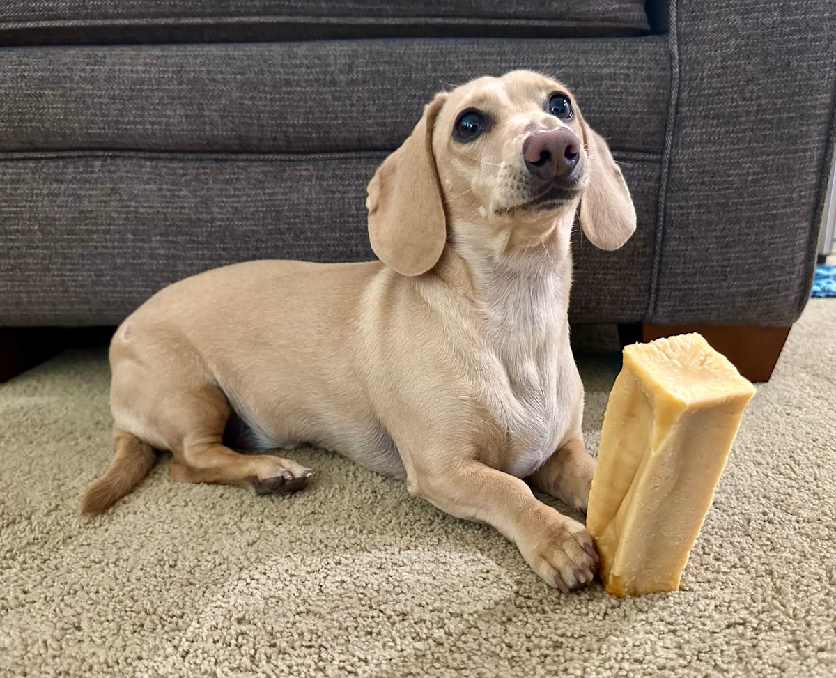 GiganticBucket tweet media