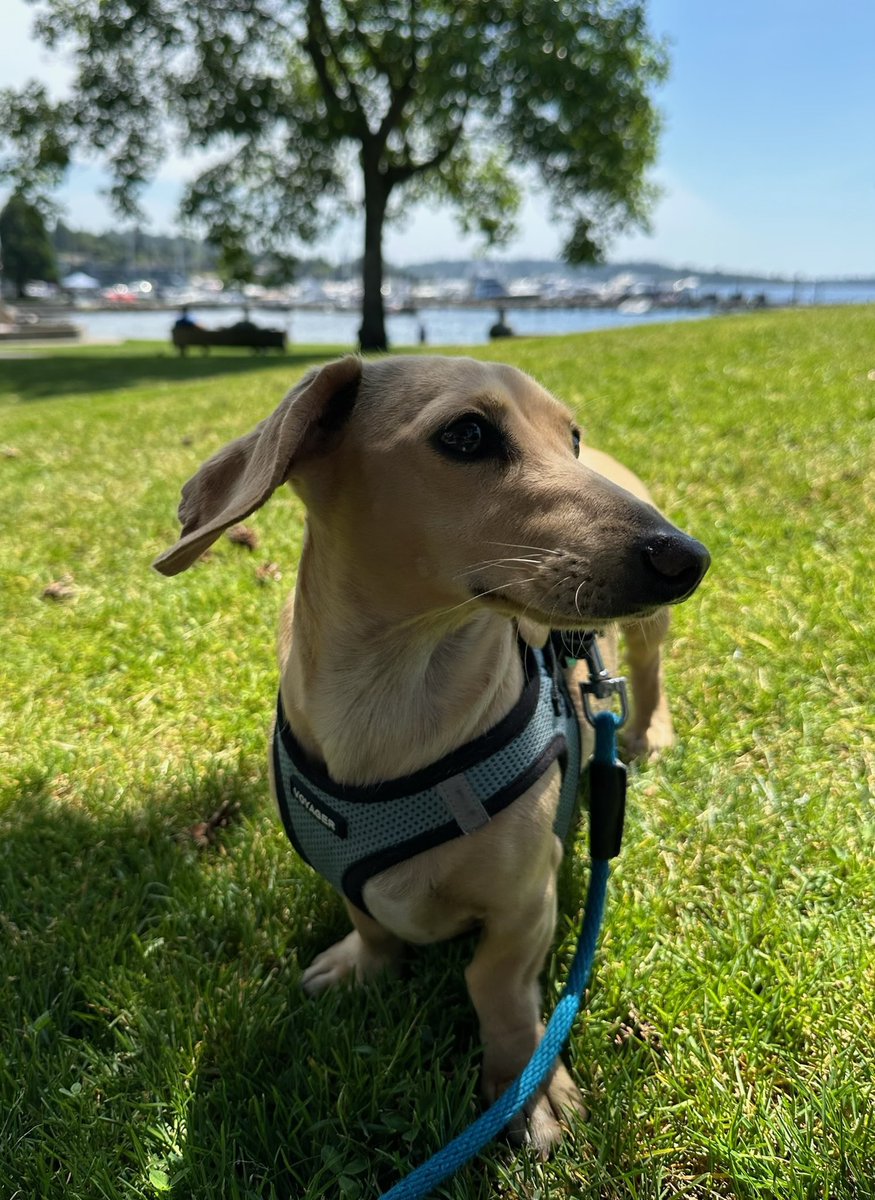 GiganticBucket tweet media