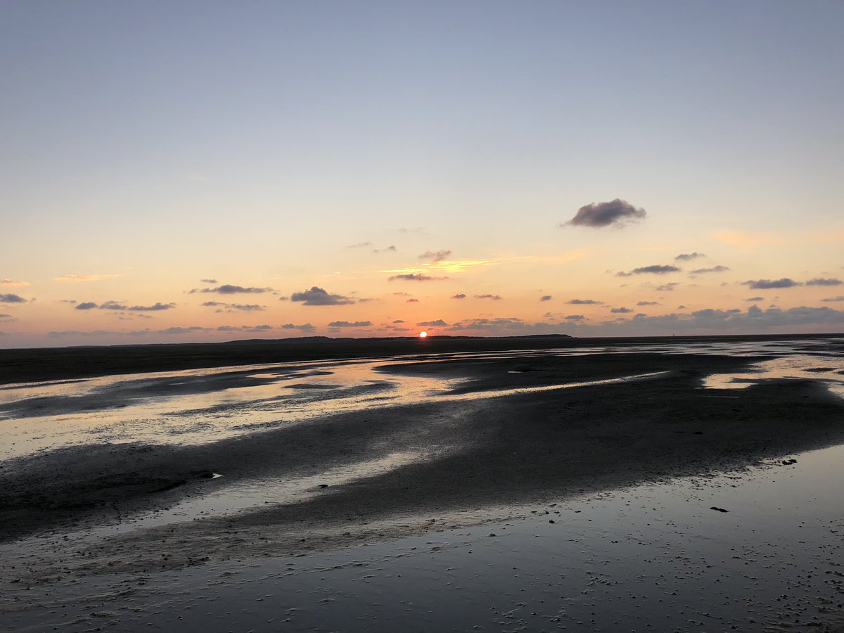 Vanavond kwam deze Doodshoofdvlinder (een prachtige en best wel grote nachtvlinder) in het wadwachtershuisje tevoorschijn. Tijdens de avondronde over #Richel weer de ruimte gegeven, wsl. nu onderweg naar Vlieland.