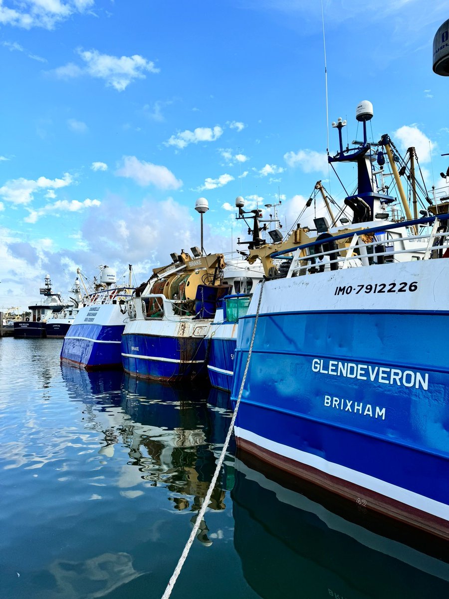 LuytGroep's tweet photo. Een #zee van #blauw schittert in de #haven #DenOever
Een #internationale #vloot 🇬🇧 🏴 🇮🇪 🇩🇪 🇮🇹 🇳🇱 is aangemeerd bij #scheepswerf #LUYT, van #garnalenkotters #scallopers #beamtrawlers #eurokotters #twinriggers tot #survey / #werkvaartuigen en brengen een levendige sfeer. https://t.co/deYI2rX93V