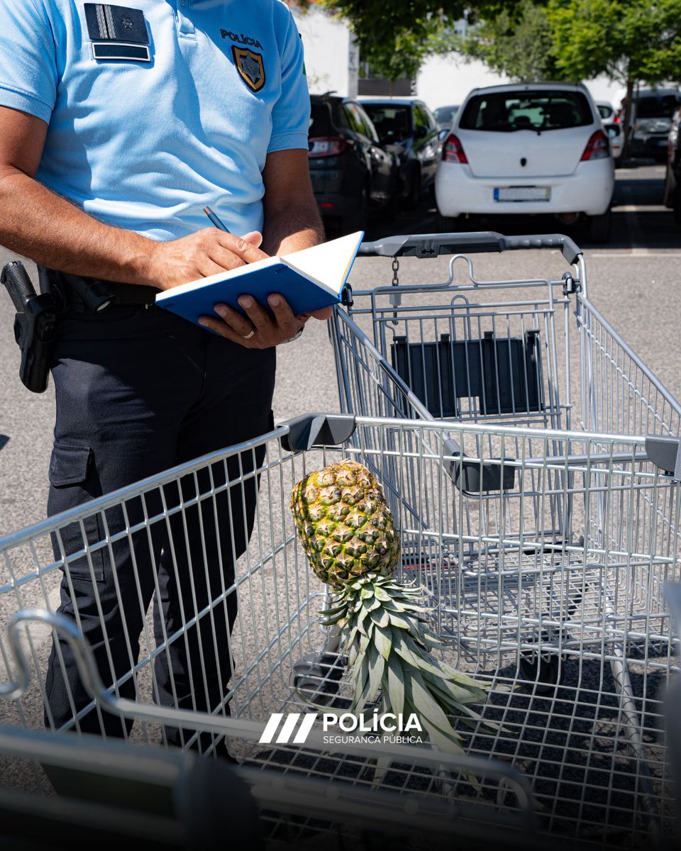 🍍Seja na via pública ou no corredor de um supermercado, conduza com precaução, respeite os limites de velocidade e faça uso dos dispositivos de segurança.
#prevencao #seguranca