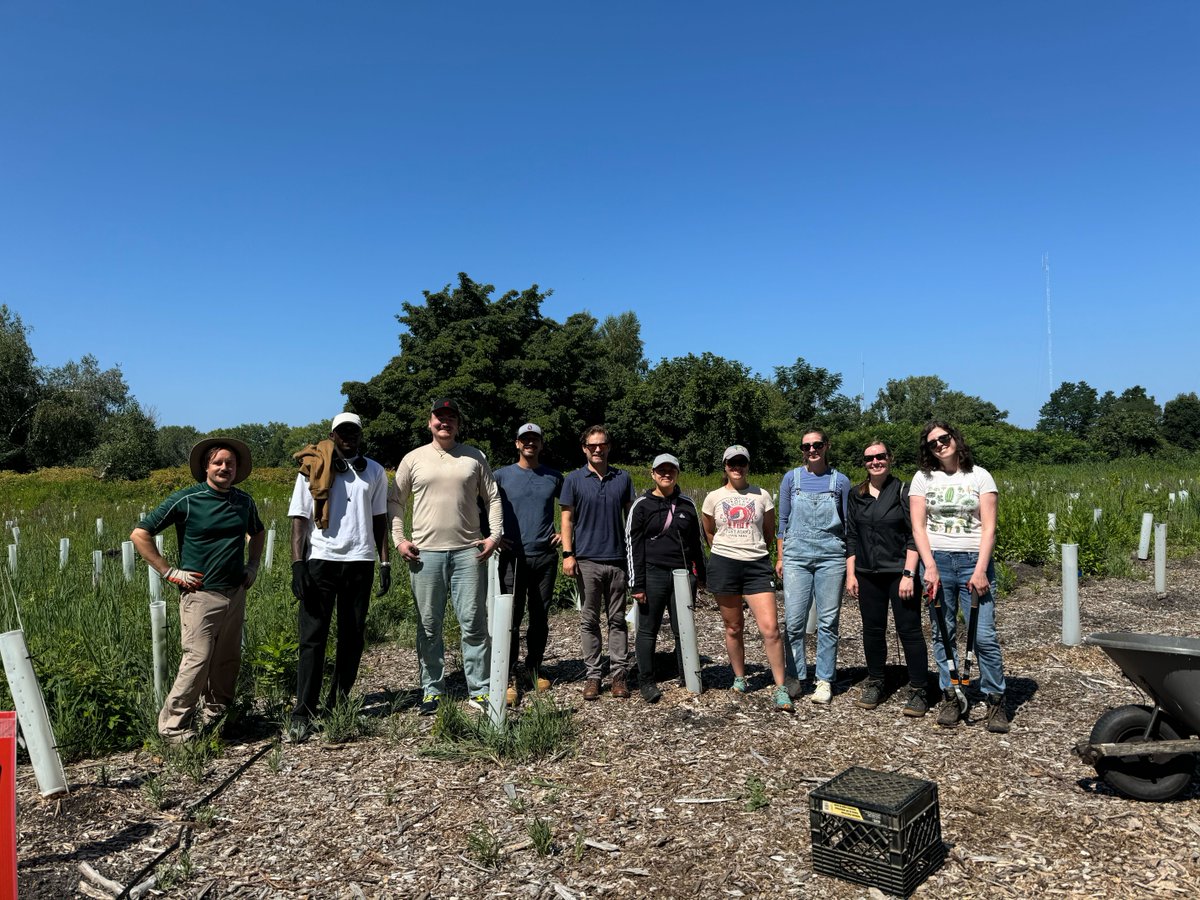 We loved working with the Copley Wolff team and <a href="/BuildingImpact/">Building Impact</a> at Gateway park in Everett last week! These awesome volunteers planted trees, spread seeds, and helped lay some irrigation lines that will be important for supporting these young plants on hot days 🌱