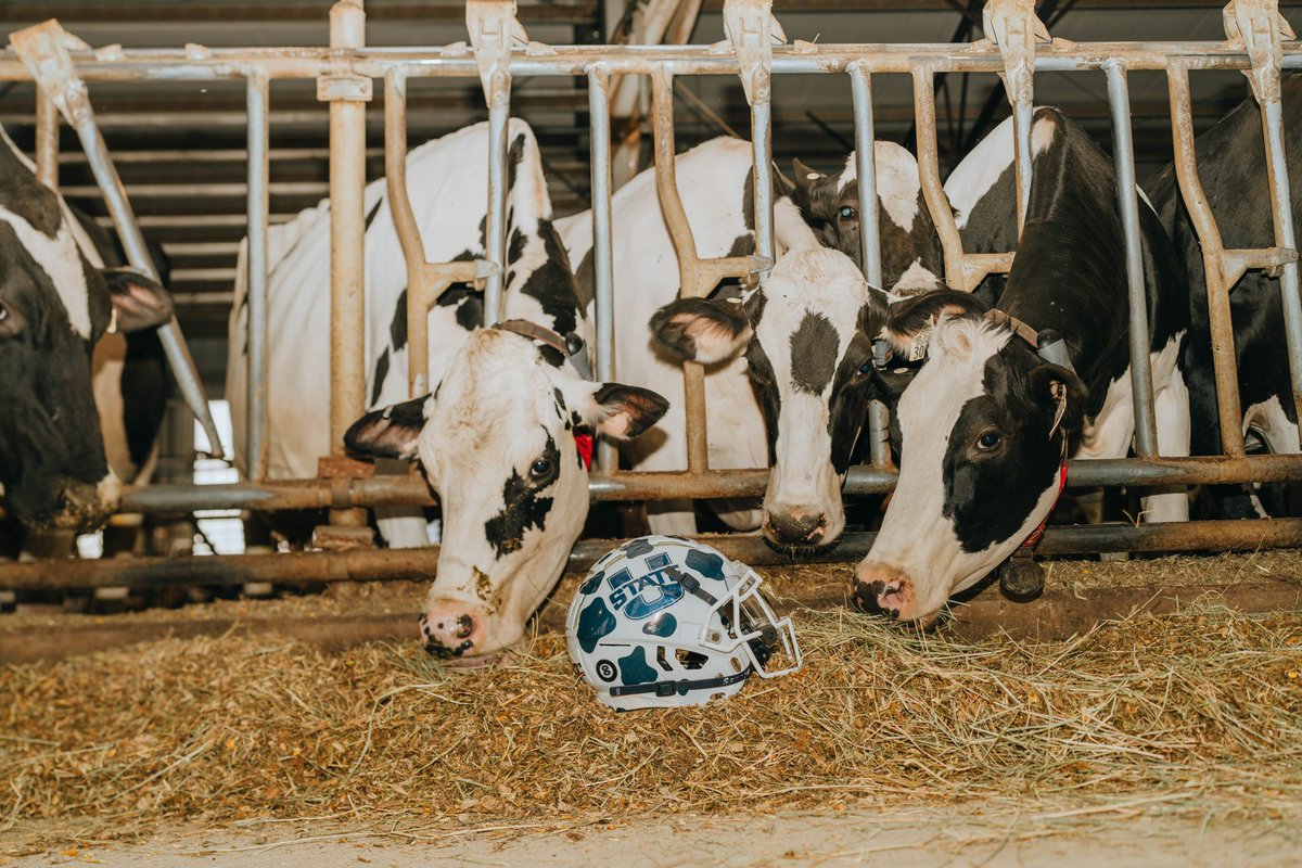 USU Football tweet media