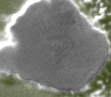 مشاءالله تفجرت السحب علا المدينة 
ومكه والطائف 
سحب هائله 
ولا زال الخير بقيه انشاء الله 😉🌩