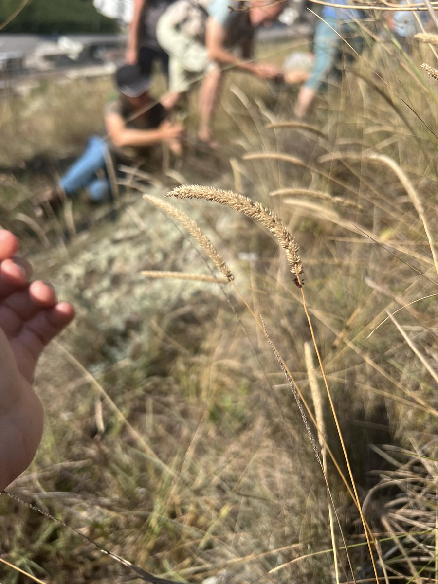 Susan Eshelman 🌾 tweet media