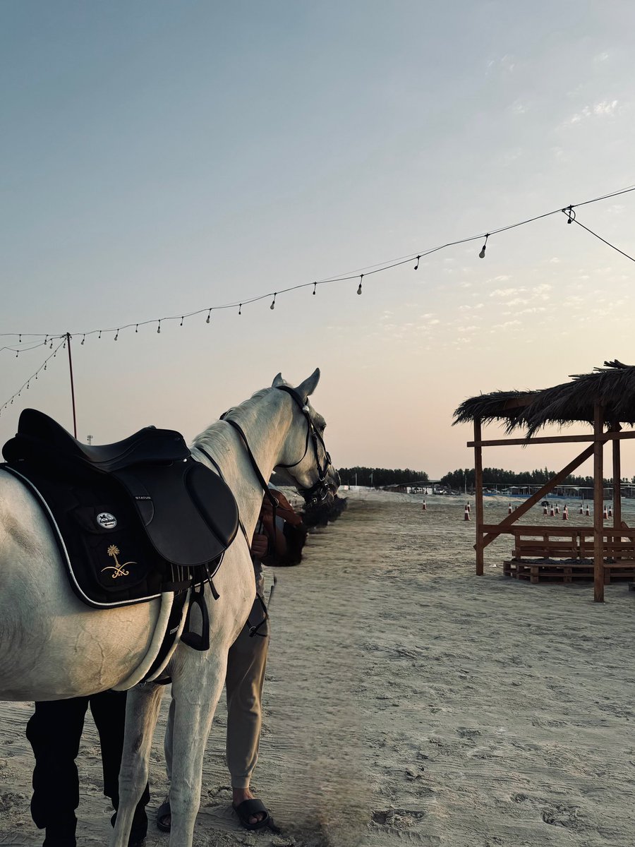 migm7md's tweet photo. أشبّهه باللي عسيفٍ من الخيل
تلعب وأنا حبل الرسن في يديا https://t.co/SDZ0R6aOHp