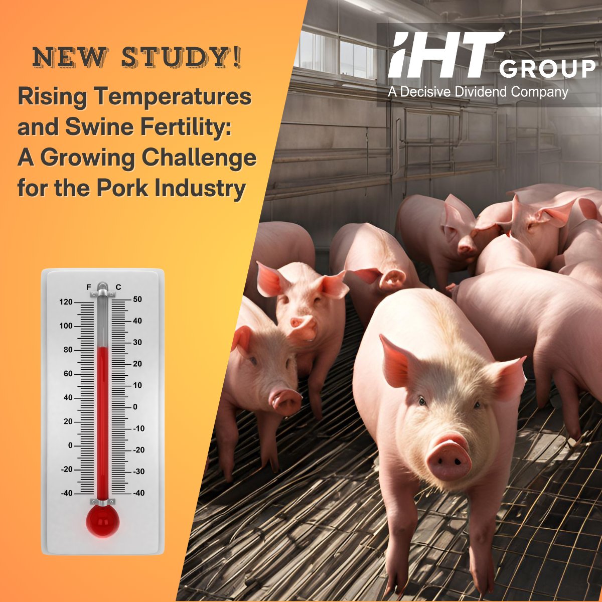 🌡️ Rising temps impact swine fertility, leading to severe challenges for pig producers! 🐖 Dr. Knox's study highlights the need for adaptive strategies like #IHTCoolingMats to reduce heat stress and improve production. Read more: ihtgroup.ca
#HeatStress #Swine #IHT