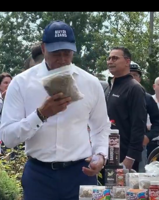 Secular Chad tweet media