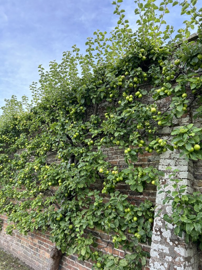 Gordon Castle Walled Garden tweet media