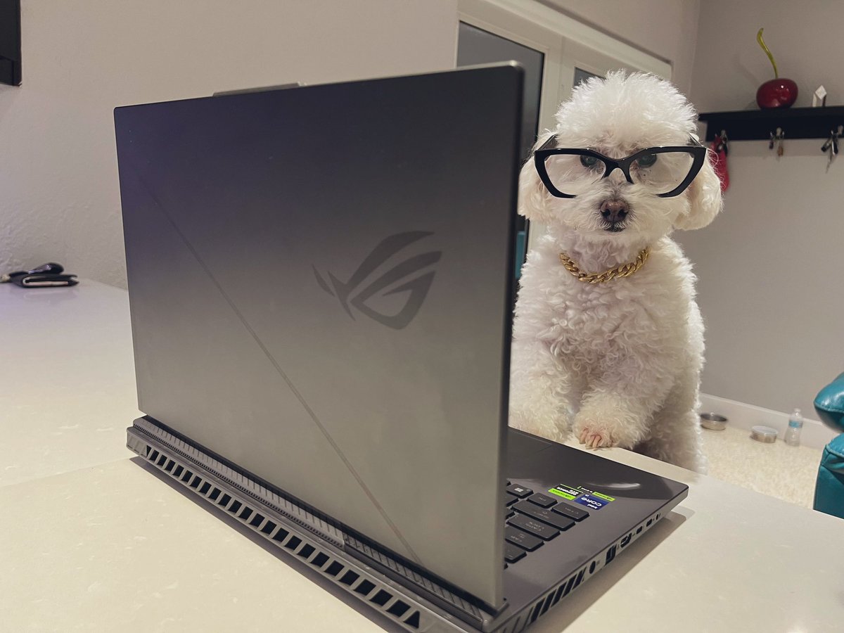 DekuGGs's tweet photo. Who keeps using my @ASUS_ROG #StrixG16 to order dog treats on Amazon?!
https://t.co/nE2KFX620x
#TeamROG #ROGPartner #ROG https://t.co/QTLY01KQ3v