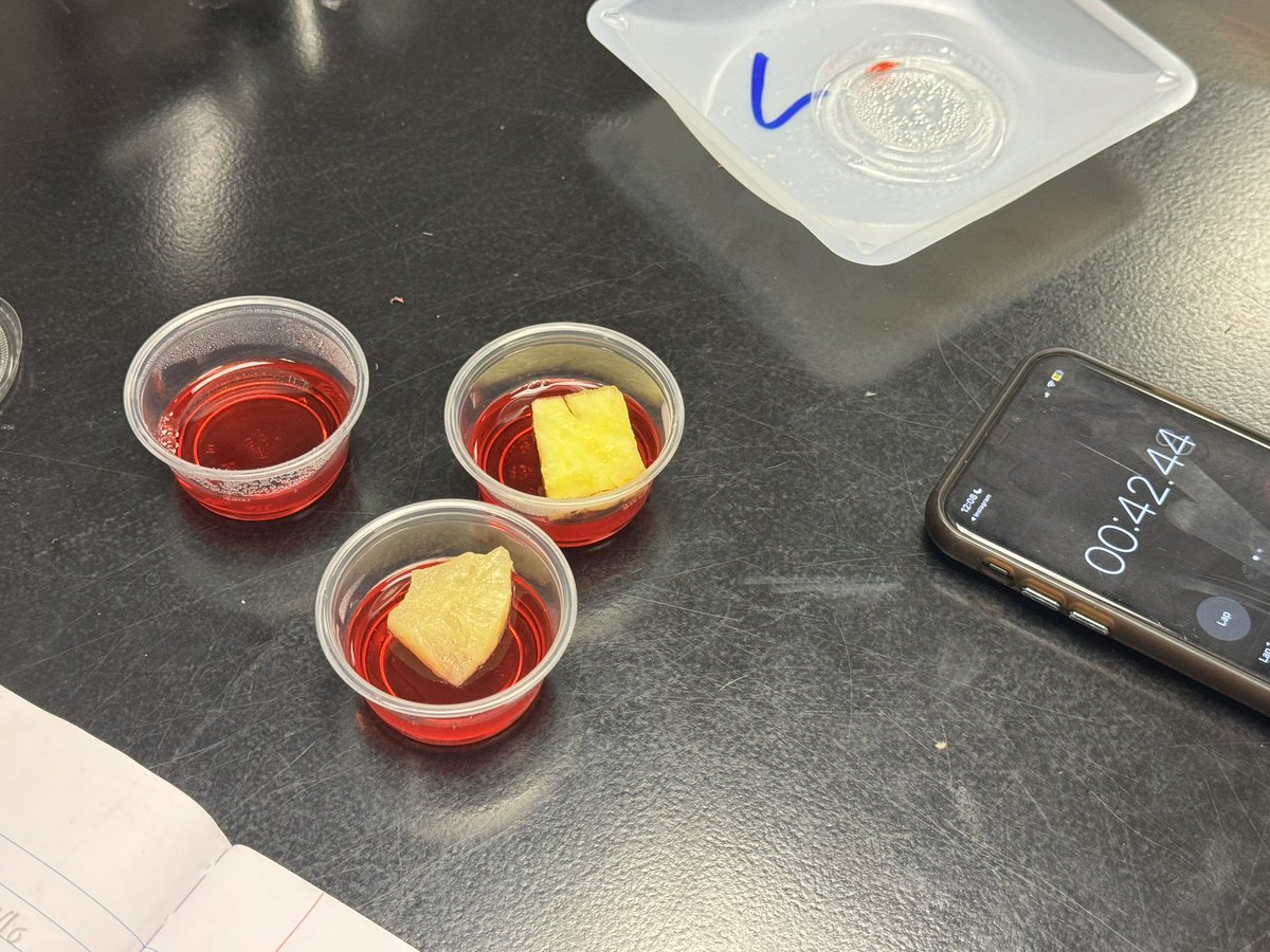 Spalding Biology tweet media