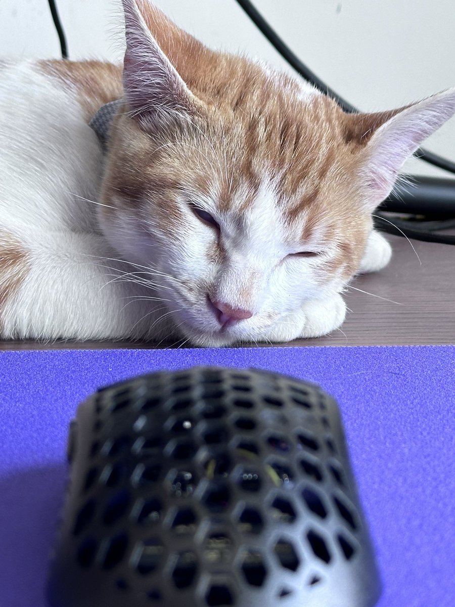 My cat loves this mouse and so do I.
<a href="/arbiterstudio/">Arbiter Studio</a> <a href="/VancerOfficial/">Vancer</a>