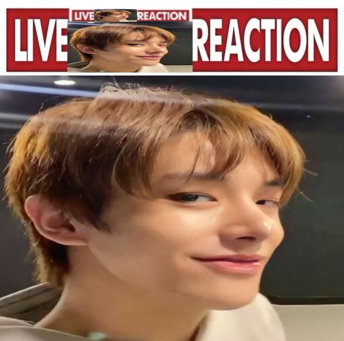 🐶 (@enhahas) on Twitter photo 