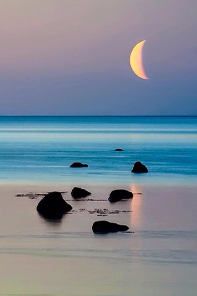 Earth Pictures tweet media