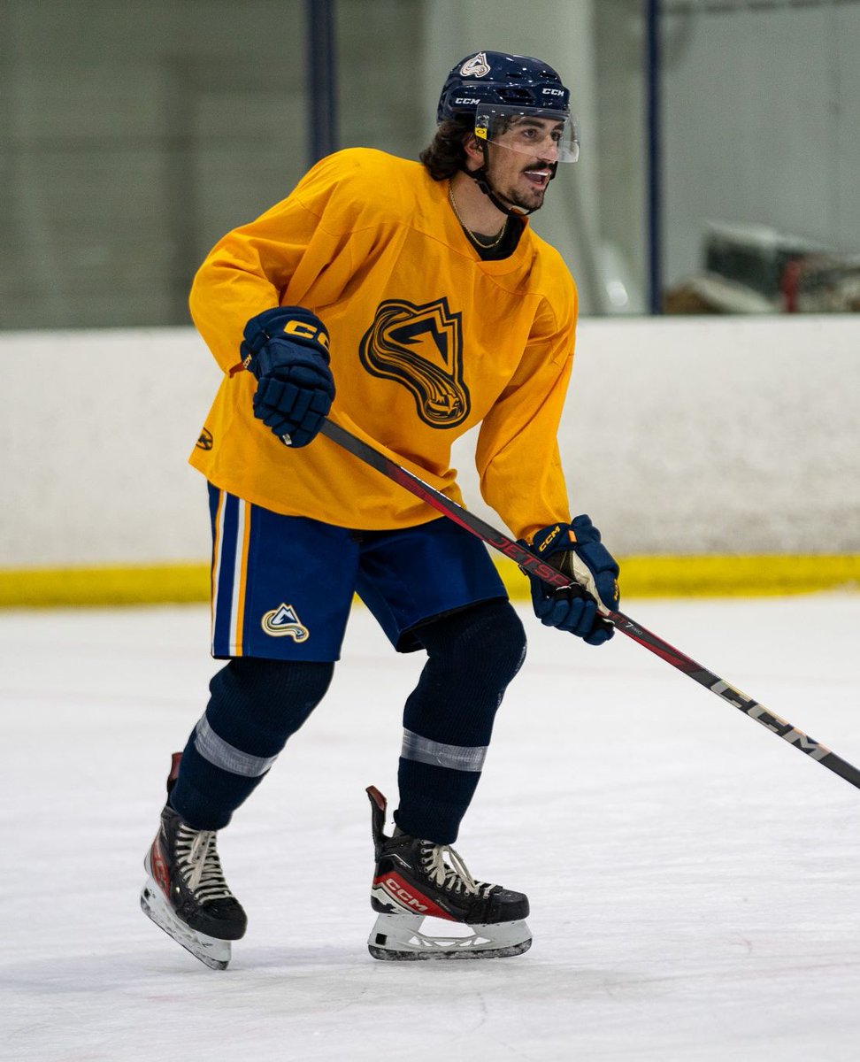 New Hampshire Avalanche tweet media