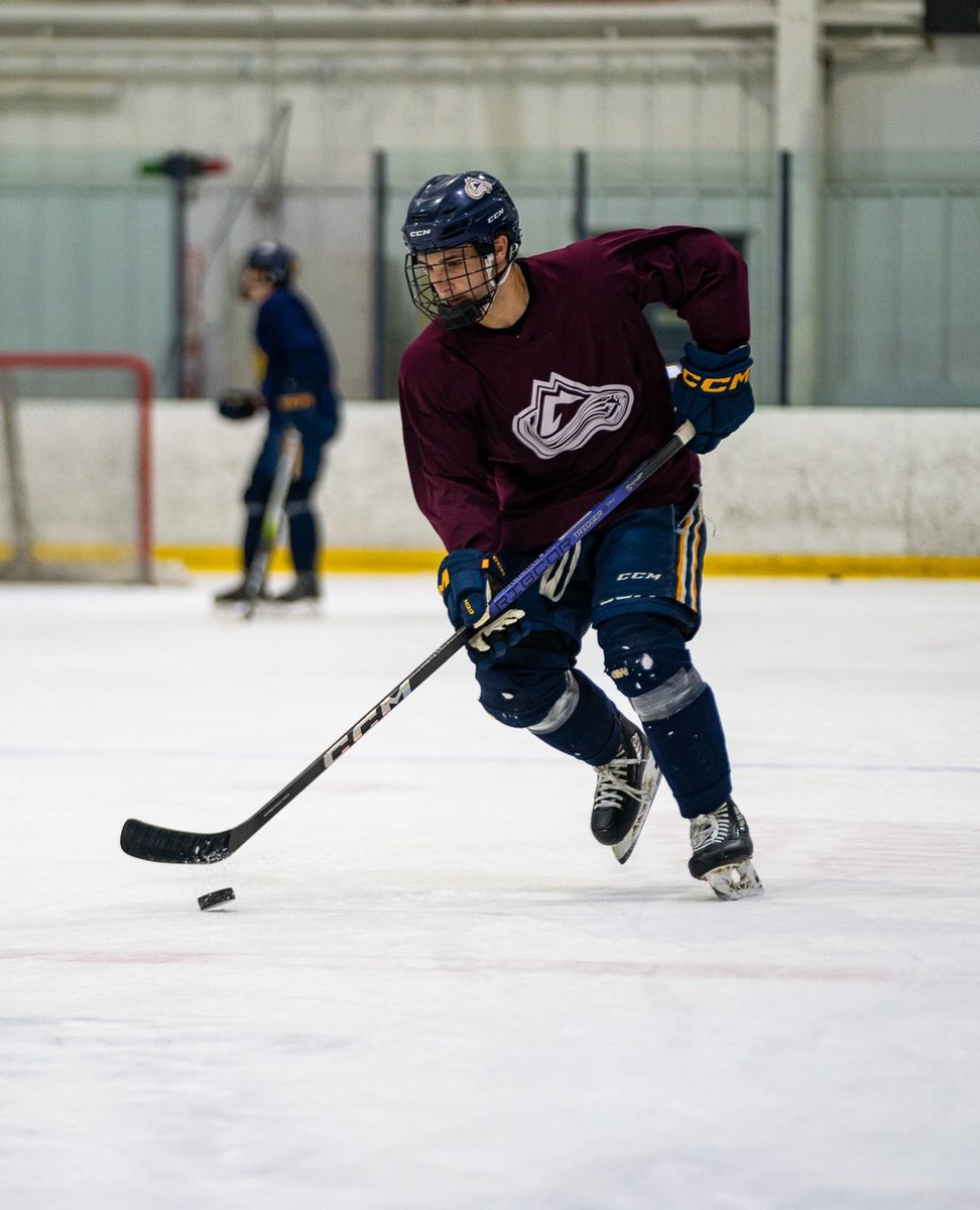 New Hampshire Avalanche tweet media