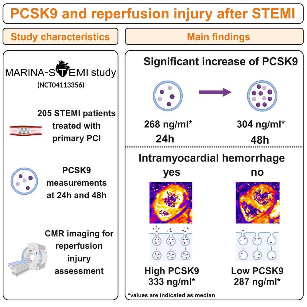 CircImaging (@circimaging) on Twitter photo Earn CME by answering questions related to this study:
In STEMI patients, circulating PCSK9 levels at 48h were significantly associated with IMH, MVO and IS as well as worse subsequent clinical outcomes <a href="/CT_Tiller/">Christina Tiller</a> <a href="/HolzknechtM/">Magdalena Holzknecht</a> <a href="/lechner_i/">Ivan Lechner</a> <a href="/ReinstadlerSJ/">Sebastian J Reinstadler</a> ahajrnls.org/4dEE5bt Earn CME by answering questions related to this study:
In STEMI patients, circulating PCSK9 levels at 48h were significantly associated with IMH, MVO and IS as well as worse subsequent clinical outcomes <a href="/CT_Tiller/">Christina Tiller</a> <a href="/HolzknechtM/">Magdalena Holzknecht</a> <a href="/lechner_i/">Ivan Lechner</a> <a href="/ReinstadlerSJ/">Sebastian J Reinstadler</a> ahajrnls.org/4dEE5bt