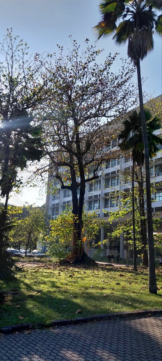 Minha despedida disso aqui será com uma foto q eu tirei hj, assim q cheguei ao trabalho!
Dia lindo! Federal linda!