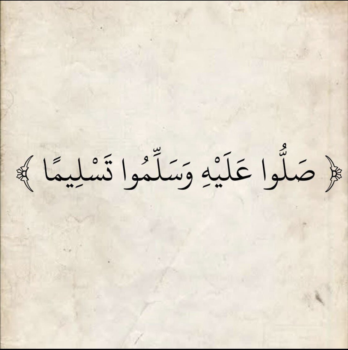 Saeed Elfeky (@saeed_elfeky) on Twitter photo 