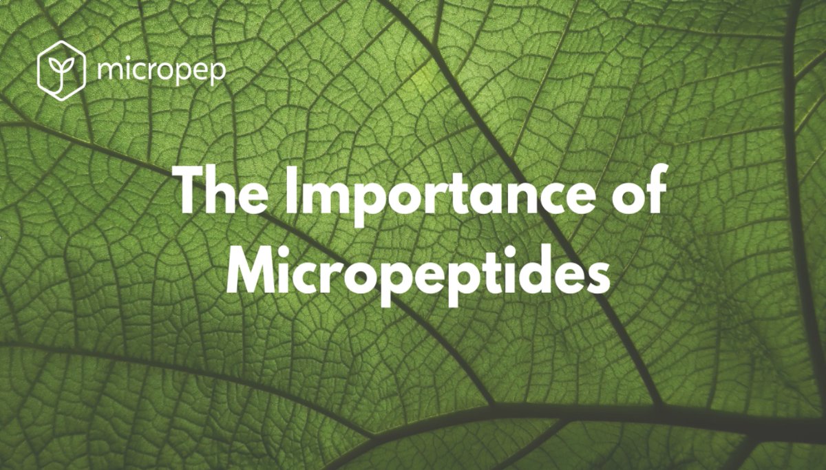 We believe micropeptides are the key to creating the next generation of  sustainable #cropprotection tools.
Learn how our platform works to rapidly find the best  micropeptide sequences.
micro-pep.com/technology/