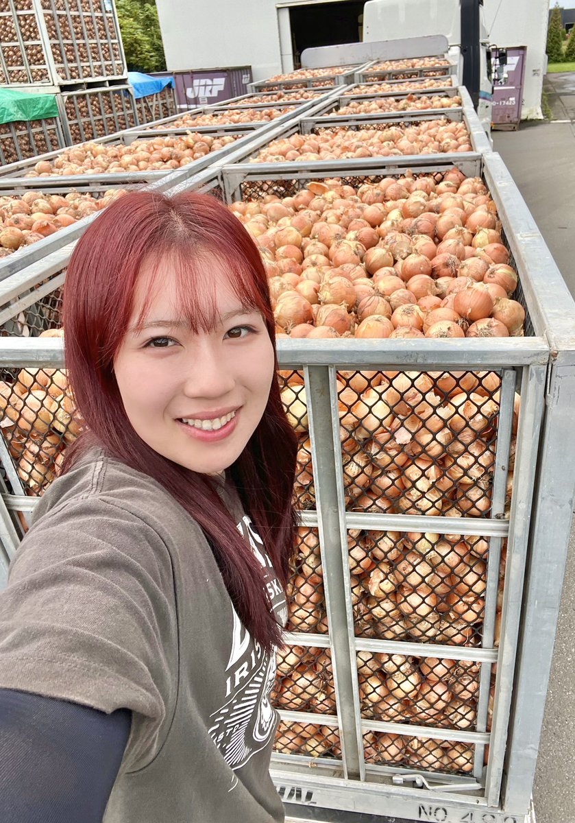 北海道産「新玉ねぎ」12t輸送中🚚🧅

みんなの食卓へ届けるため
まずは農場から出荷ｾﾝﾀｰに運んでます