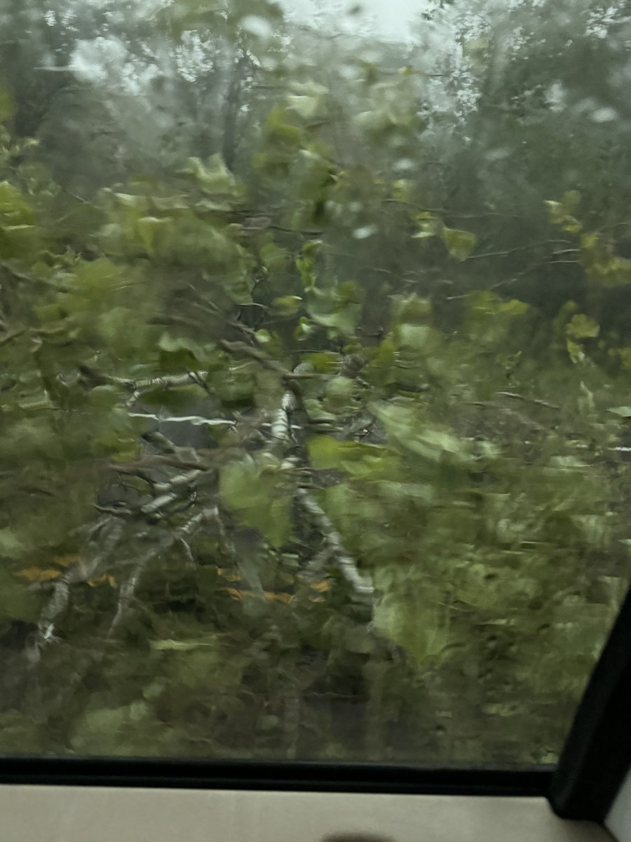 Paige Berdomas🌪 (@tornadopaigeyy) on Twitter photo I have no idea how we just got into another tornado by chance but we did. these are all the pics I got for now #mnwx <a href="/NWSTwinCities/">NWS Twin Cities</a> I mpinged the massive fallen pine trees down as we were driving in it I have no idea how we just got into another tornado by chance but we did. these are all the pics I got for now #mnwx <a href="/NWSTwinCities/">NWS Twin Cities</a> I mpinged the massive fallen pine trees down as we were driving in it