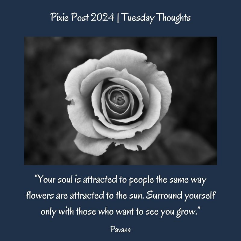 ThePixiePost's tweet photo. Good Morning &amp; Happy Tuesday #TuesdayThoughts #TuesdayMorning

#MorningsWithPixie https://t.co/y5tKIlnlvV