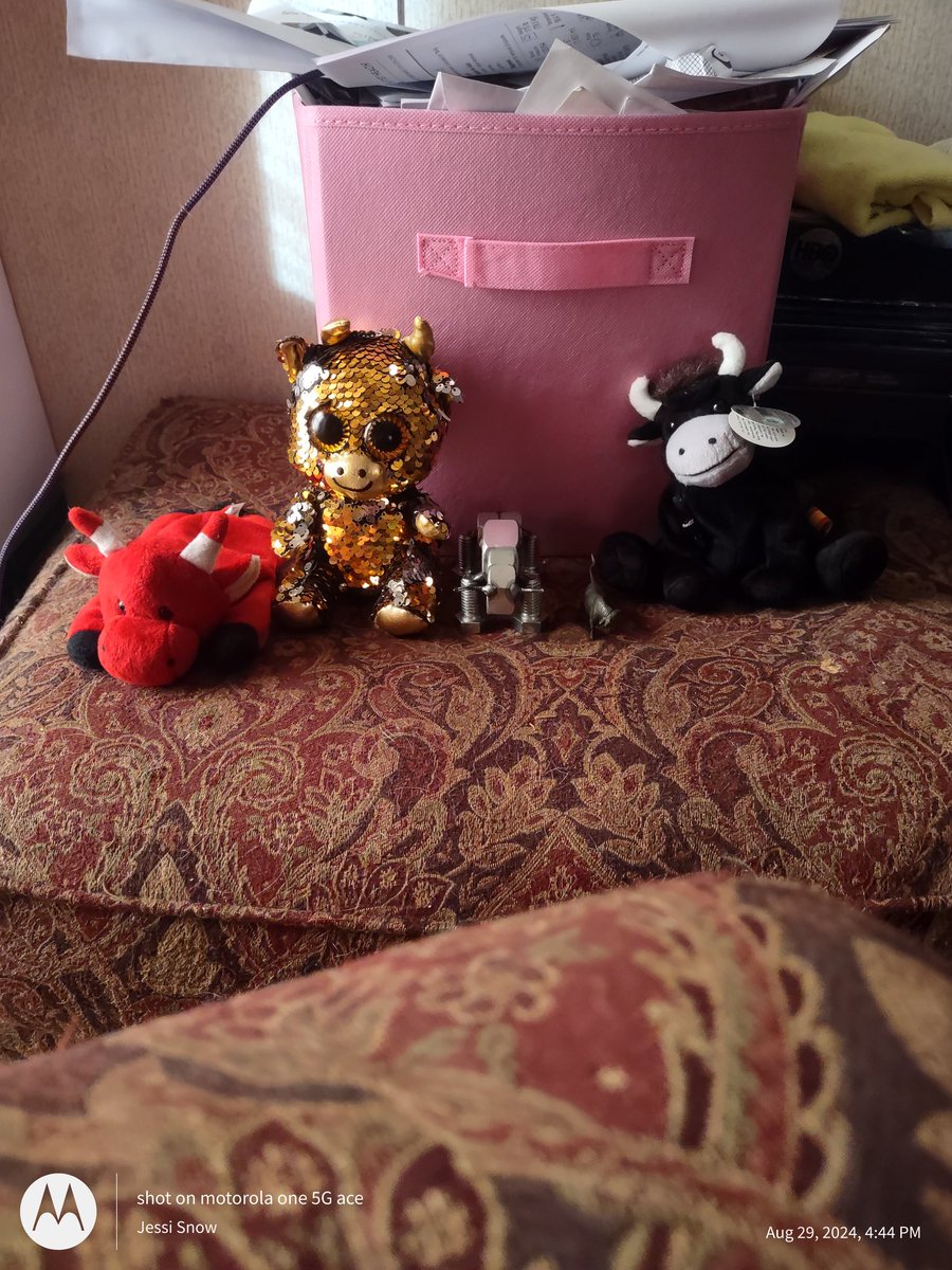 mzjessimiller's tweet image. My boys, Miguel, Lamas, Ernesto, Escobar and Duran chillin' before Summer of the Beasts!!!!   
#MLW
#AZTECALUCHA