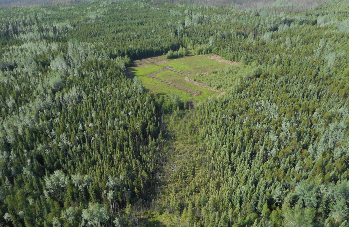 BC Energy Regulator tweet media