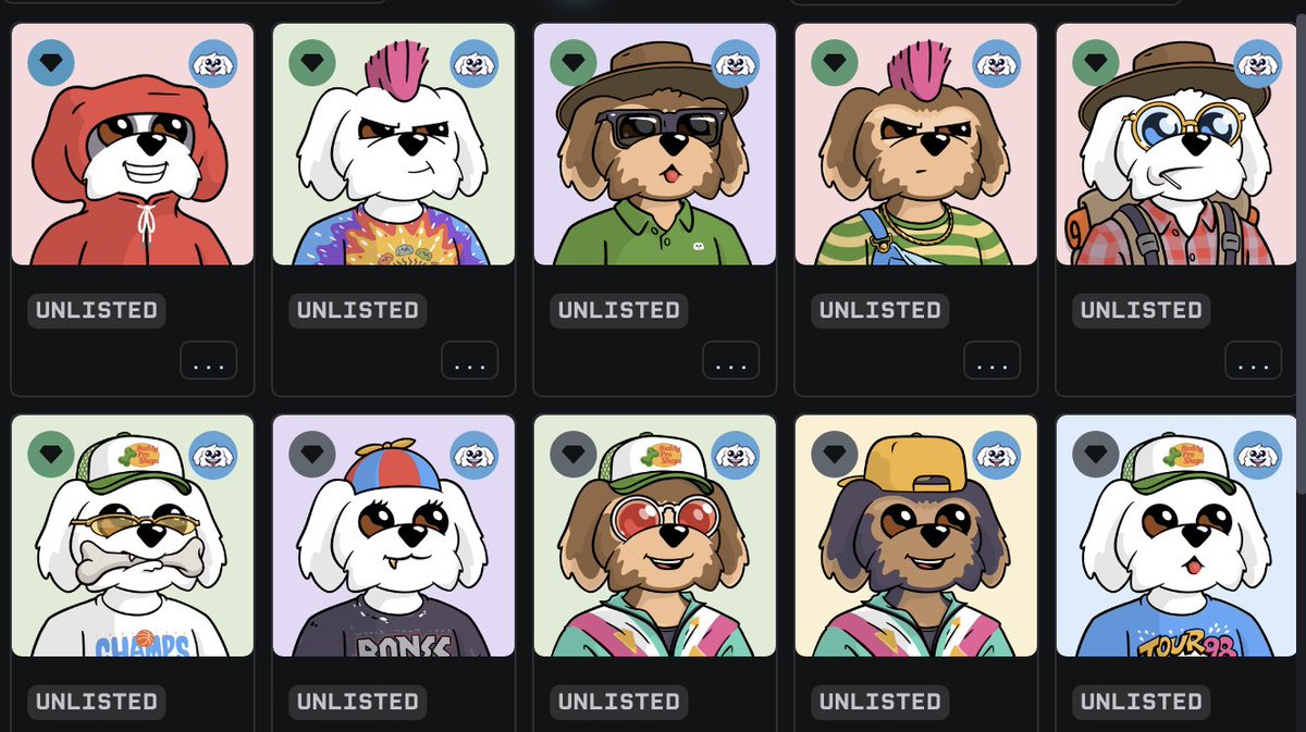 Just swept Bodoggos. Why? Best content creators in the space. It's on SOL. Who doesn't love a dog. <a href="/BoDoggosNFT/">The Bitcoin Show (holding BoDoggosNFT Handle)</a>