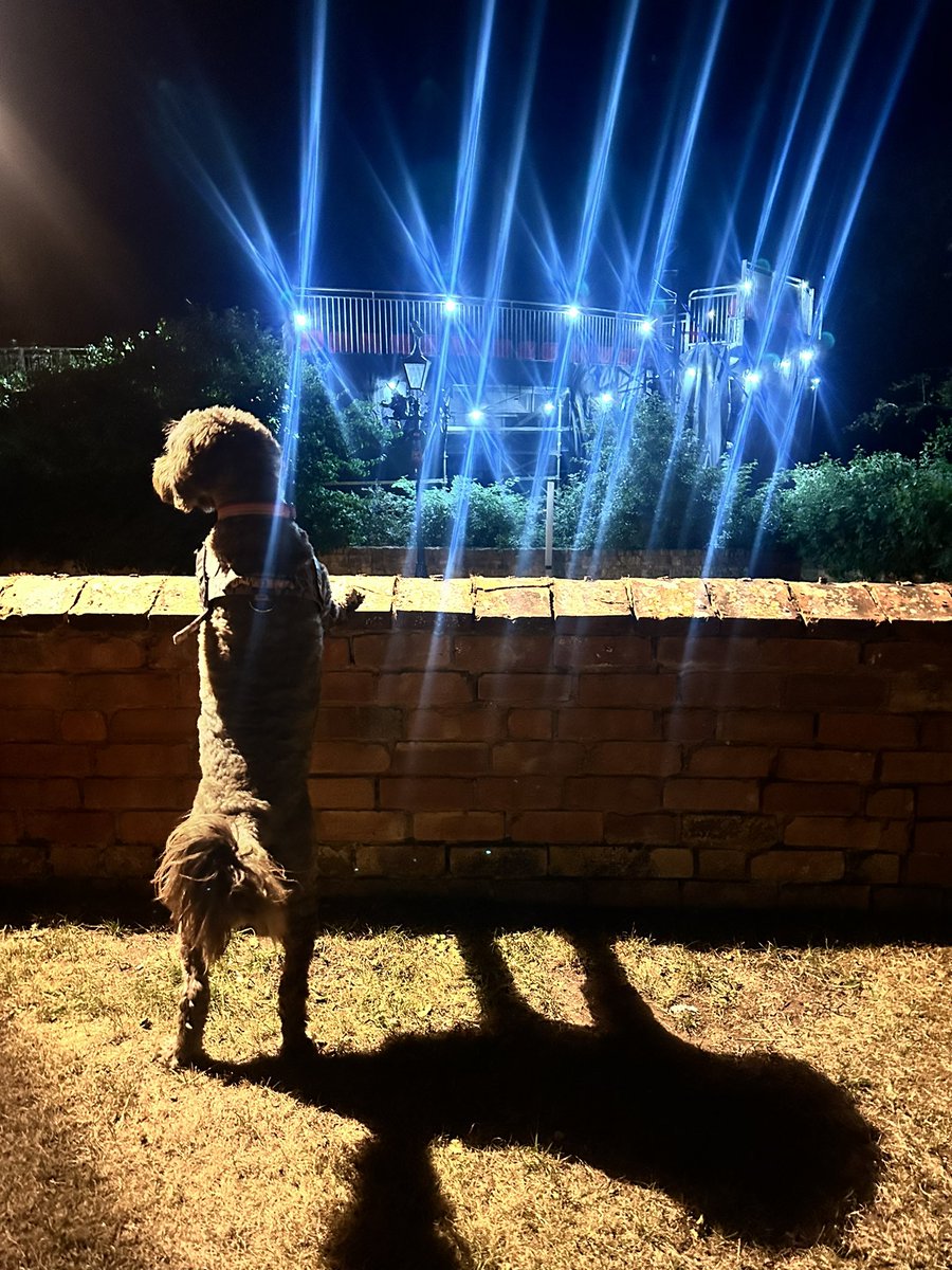 waters_writes's tweet photo. Theatre Doggo in Stratford #shakespeare @TheRSC https://t.co/sNLdtB9q5g